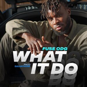 Fuse ODG - What It Do