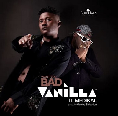 vanilla – want you bad ft medikal