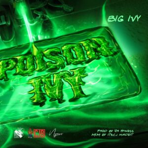 Big Ivy - Poison Ivy (Mama Dollarz Reply 2)