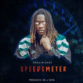 Dahlin Gage - Speedometer