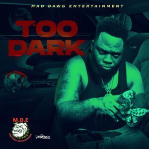 Chronic Law – Too Dark