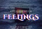 Kwesi Amewuga - Feelings