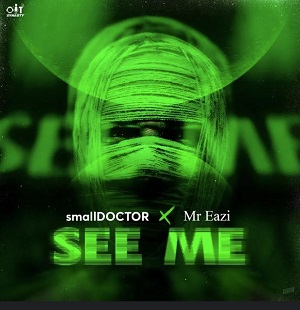 small doctor – see me ft mr eazi