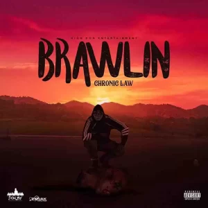 Chronic Law - Brawlin