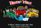 D-Black - Trotro Vibes