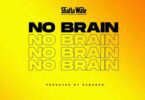 Shatta Wale – No Brain