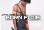 Lyrical Vybes - Born Fi Dis