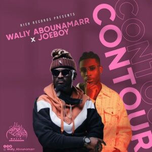 waliy abounamarr x joeboy contour