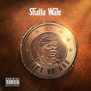 Shatta Wale - Dem Deh Try