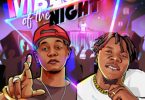 10Tik – Vibes Of The Night Ft Stonebwoy