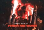 Vybz Kartel - From Me Born