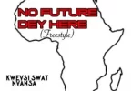 Kweysi Swat – No Future Dey Here