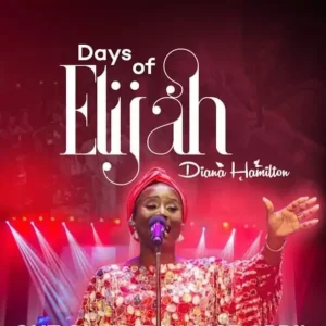 Diana Hamilton – Days Of Elijah