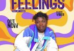 Kwame Viber - Feelings