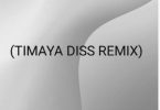 Real Reach Dollar - Timaya Diss Remix