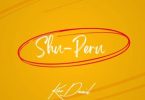 Kizz Daniel - Shu-Peru