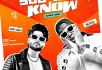Nobby Singh - You Will Know Ft Medikal