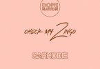 DopeNation - Check My Zingo Remix Ft Sarkodie