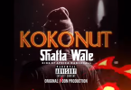 Shatta Wale - Kokonut