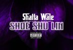 Shatta Wale – Shoe Shu Lin