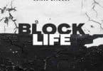 Skillz 8figure – Block Life