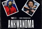 NBee - Ankwanoma Remix Ft Kwesi Amewuga