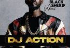 dj action best of black sherif vibes vol. 2