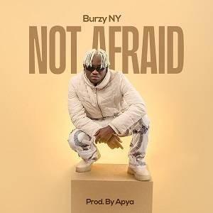 Burzy NY - Not Afraid