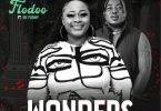 Flodoo - Wonders Ft Nii Funny