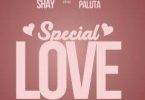 Special Love by Wendy Shay Ft King Paluta