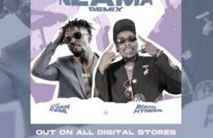 Bonyo Hyness – Nzama Remix Ft Kwaw Kese