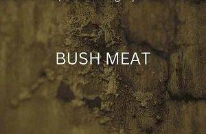 Mandem Yopic - Bush Meat