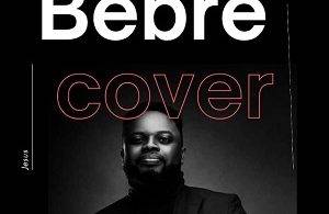 Healer - Bebree (Cover)