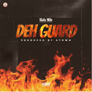 Shatta Wale - Deh Guard