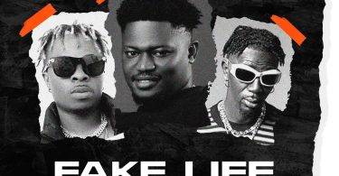 Fake Life by Bra Desmond,Bra Desmond Ft Natty Lee,Bra Desmond Fake Life